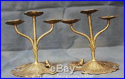 10 Chinese Palace Brass Collect Frog Lotus Leaf Candle Holder Candlestick Pair