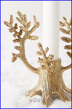 Anthropologie Arden Taper Candle Holder fir candelabra & two fir tapers lodge