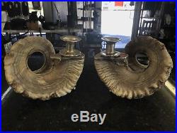 Vintage Pair Genuine Rams Horn Candlestick Candle Holders Brass